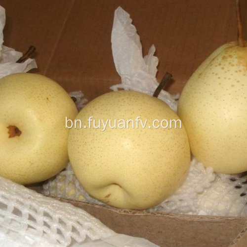 ভাল স্বাদ এবং Ya PEAR এর ভাল মানের